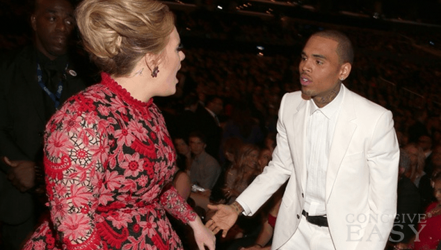 Adele Denies Snapping At Chris Brown For Being Mean To Frank Ocean