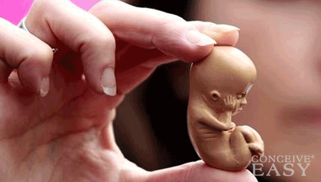 Baby Born from Embryo Frozen for 20 Years - ConceiveEasy