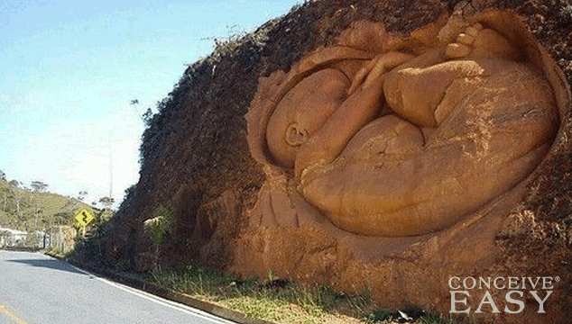 Birth Control Effects on a Fetus