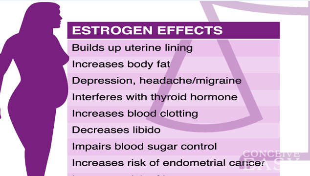 Best Form Of Natural Estrogen Best Form Of Natural Estrogen