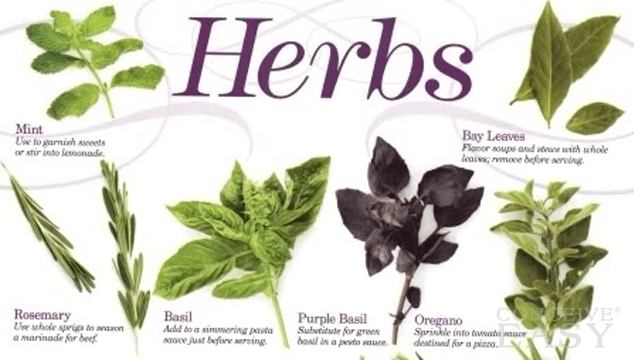 Different Categories Of Herbs And Which Are Safe In Pregnancy And