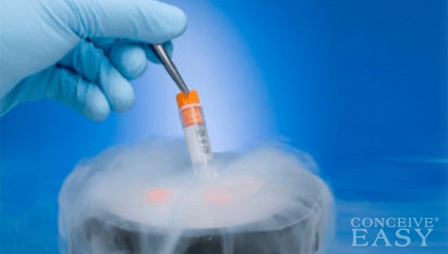 Egg Freezing