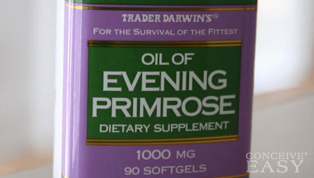 Evening Primrose Oil and Fertility
