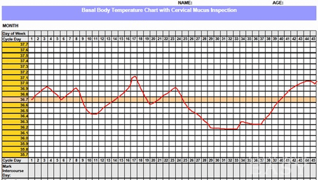 Fertility Charting Basics