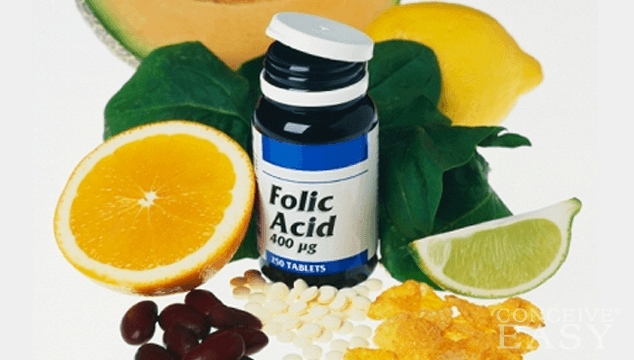Folic Acid Help Get Pregnant 23