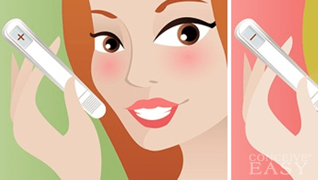 Free Ovulation Tests