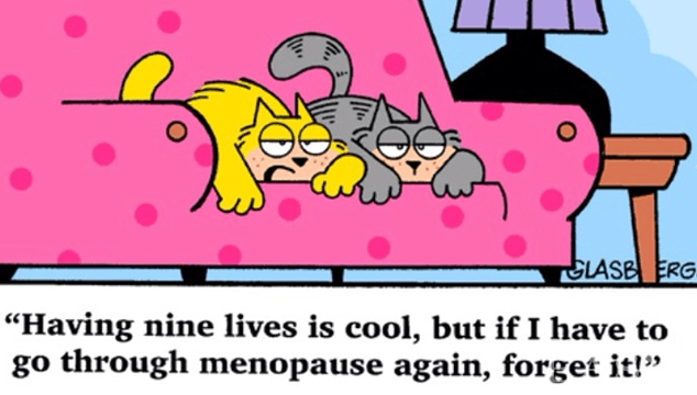 FSH Levels and Menopause