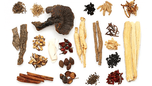 Healthcare herb shop   chinese herbs and chinese herbal 