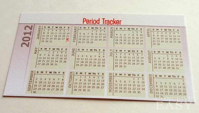 How Fertility Tracking Helps with Conception