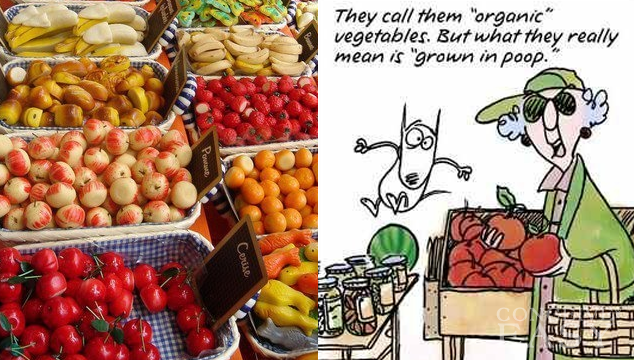How Important is Going Organic to My Fertility?