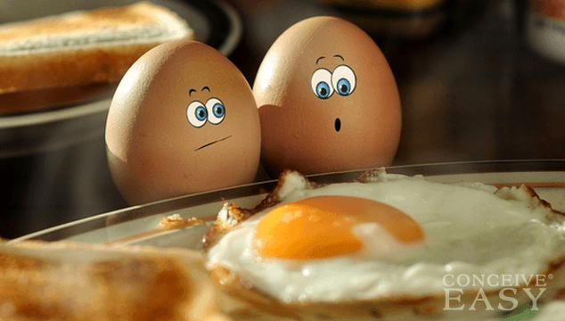How Many Eggs do you need for IVF?