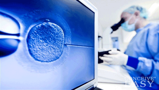 How Many Embryos Should You Transfer?