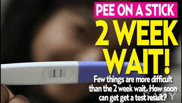 Should i take a pregnancy test at night or morning?