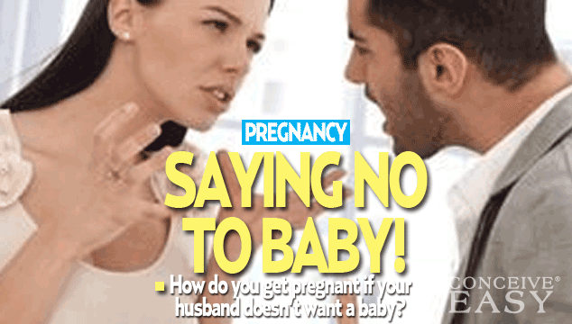 How to Get Pregnant if my Husband Doesn’t Want To