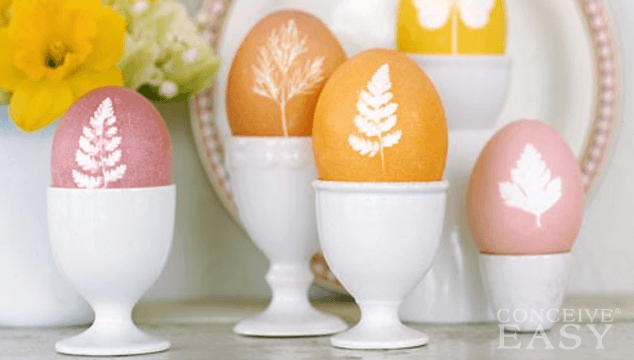 Infertility Causes: Poor Egg Quality