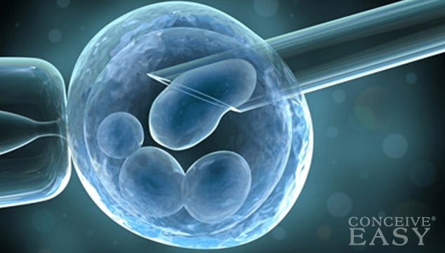 IVF Financial Assistance