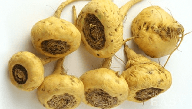 Maca for Fertility