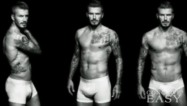 Man’s Testicle Size Could Be a Factor in Fathering Skills