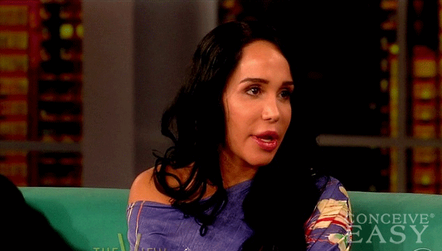 Nadya Suleman Under Investigation for Welfare Fraud