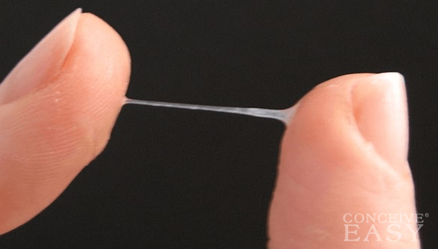 No Cervical Mucus: What Can I Do? - ConceiveEasy