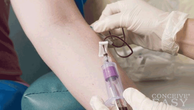 Overview of Prenatal Testing