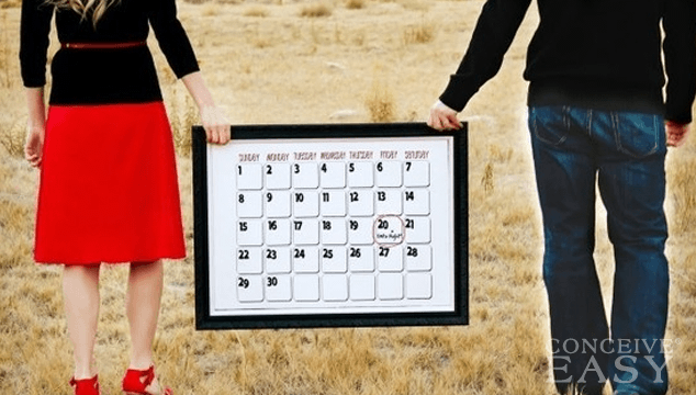 Ovulation Calendar