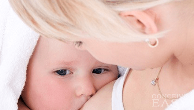 Prolactin and Fertility