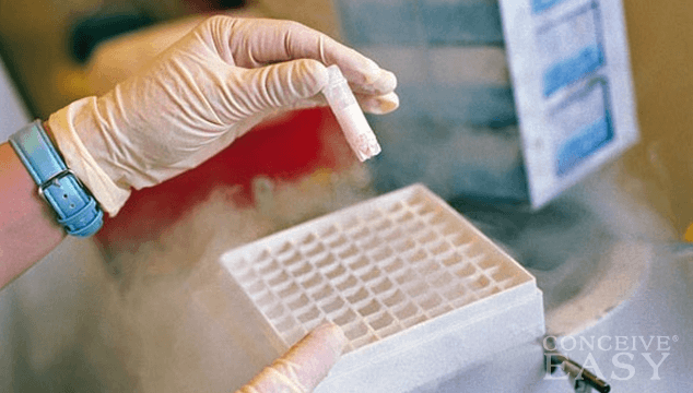 Should You Freeze Your Eggs At 40?