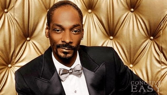 Snoop Lion Served With $546,000 Tax Lien