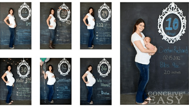 pregnancy stages pregnancy belly stages images pregnancy stages pregnancy belly stages images