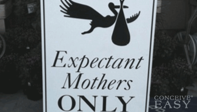 Stork Parking