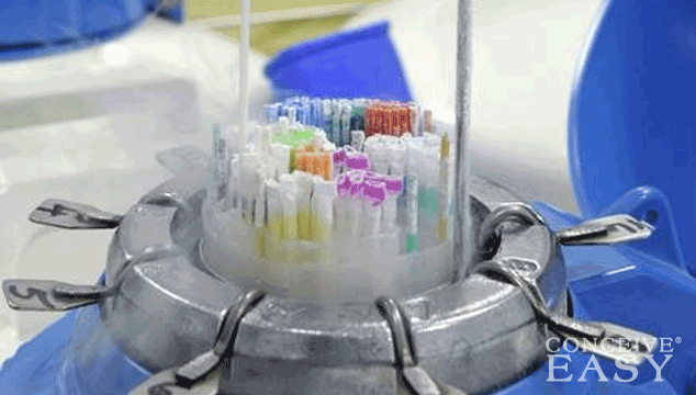 What Motivates Women to Freeze Their Eggs?