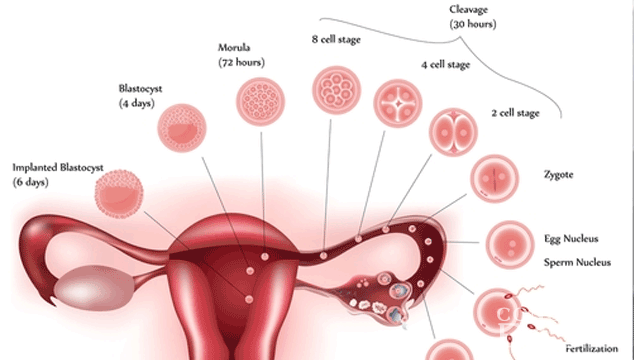 woman spotting between periods