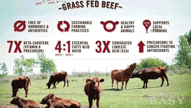 why-grass-fed-beef-is-better-for-fertili