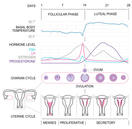 Is it normal to want to get pregnant at 16?