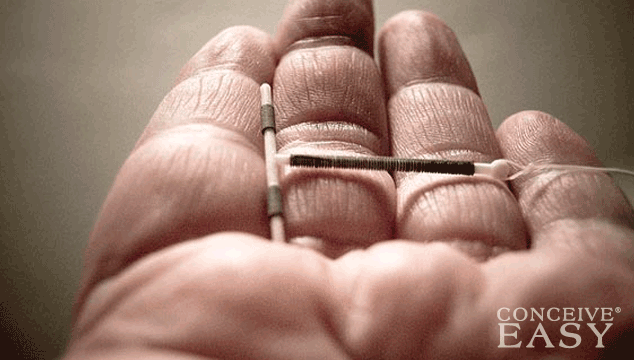 how-possible-is-it-to-get-pregnant-with-paragard-iud how-possible-is-it-to-get-pregnant-with-paragard-iud