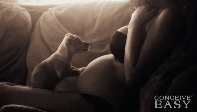 how-to-get-pregnant-right-after-your-period how-to-get-pregnant-right-after-your-period