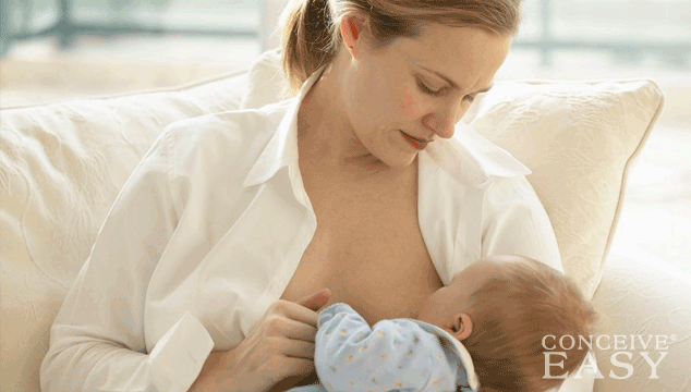 are-there-supplements-to-increase-fertility-while-breastfeeding are-there-supplements-to-increase-fertility-while-breastfeeding