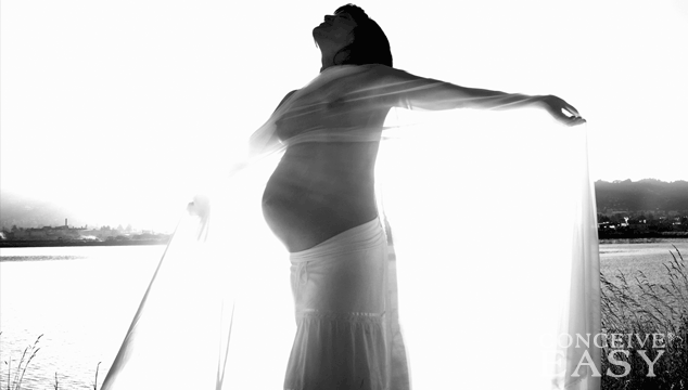 how-to-increase-pregnancy-chances-naturally how-to-increase-pregnancy-chances-naturally