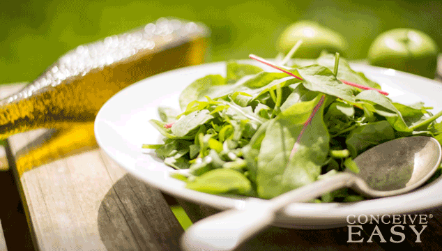 fertility-herbs-to-enhance-your-fertility-naturally fertility-herbs-to-enhance-your-fertility-naturally