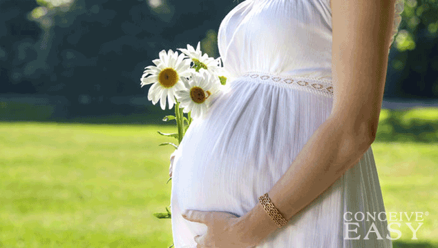 have-a-healthy-pregnancy-even-after-infertility have-a-healthy-pregnancy-even-after-infertility