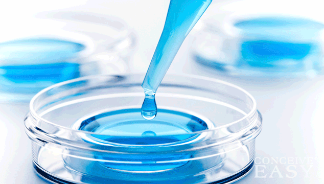 how-does-in-vitro-work how-does-in-vitro-work