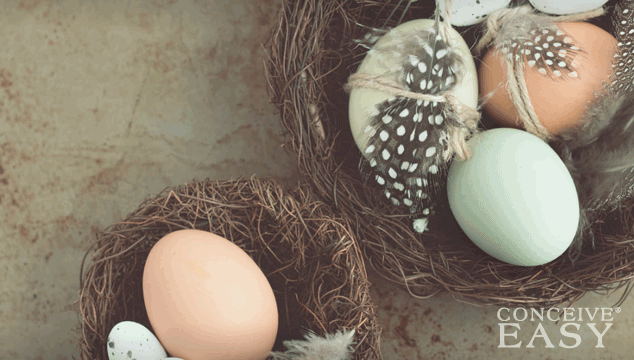 australians-importing-donor-eggs-from-united-states australians-importing-donor-eggs-from-united-states
