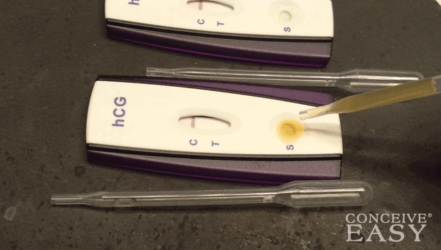 urine-based-ovulation-test-kits urine-based-ovulation-test-kits