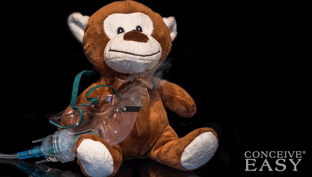 asthma-in-pregnancy-symptoms-treatment-guidelines asthma-in-pregnancy-symptoms-treatment-guidelines