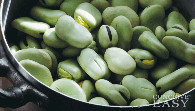 top-foods-that-can-help-you-get-pregnant top-foods-that-can-help-you-get-pregnant