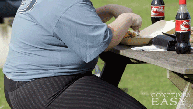 getting-pregnant-if-you-are-overweight getting-pregnant-if-you-are-overweight