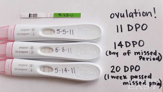 Moler pregnancy