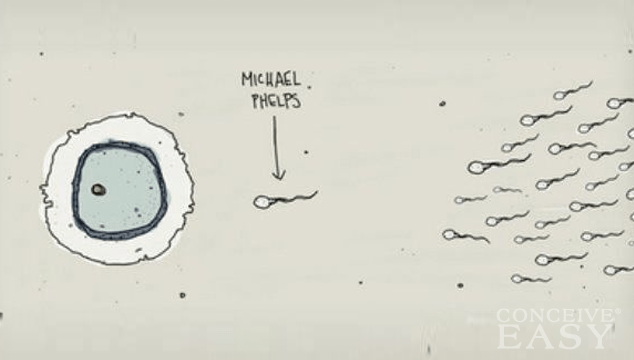 Best of How to icrease your sperm count count sperm to icrease How your