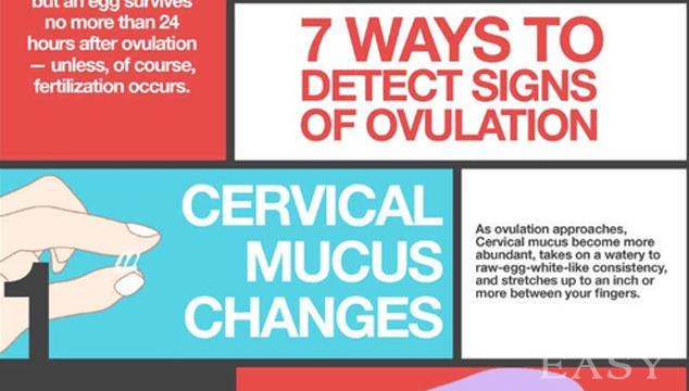 When Do I Ovulate and How Do I Know? – ConceiveEasy.com